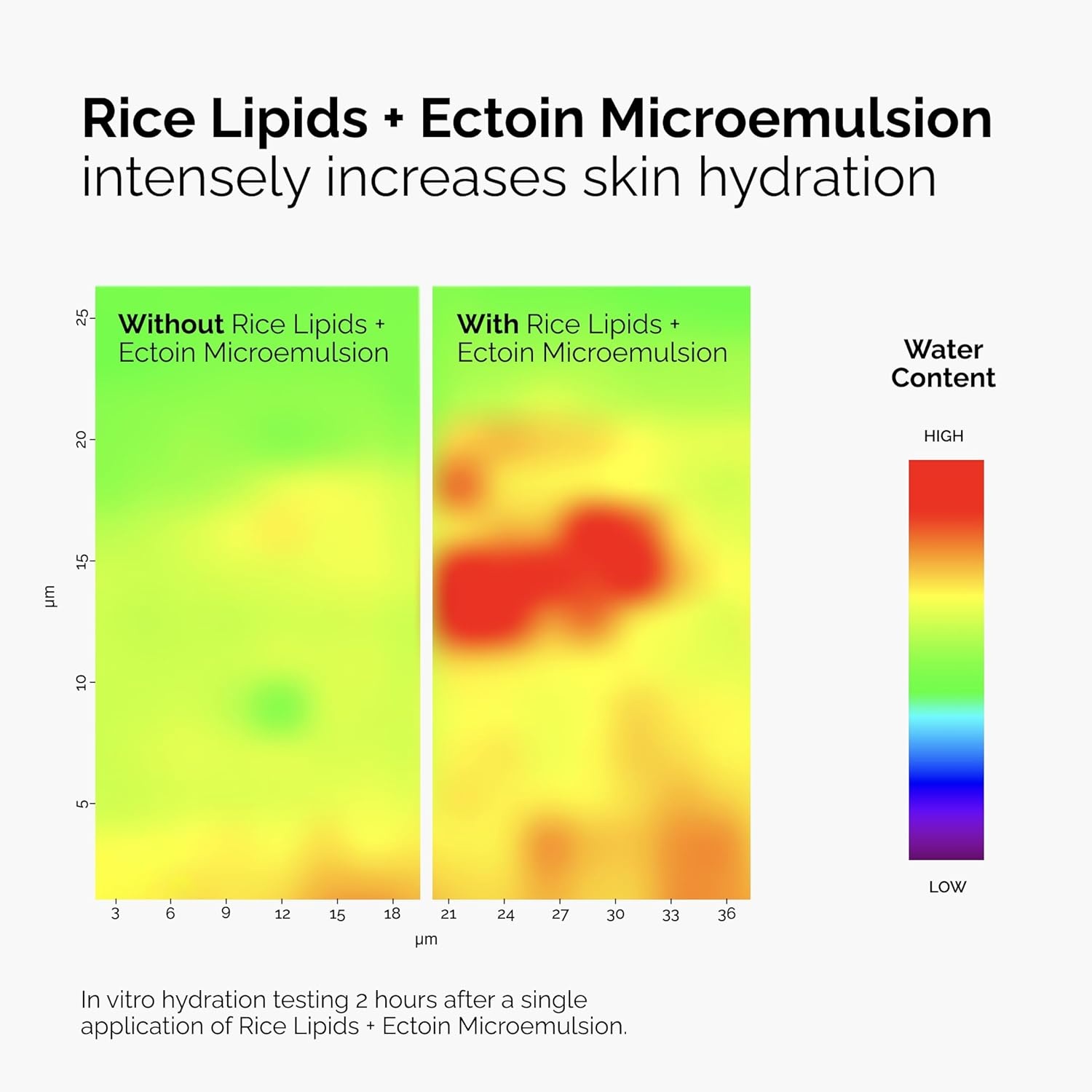 imageThe Ordinary Rice Lipids Ectoin Microemulsion Moisturizer for Dry Skin Soothing Hydration Barrier Repair Reduced Redness2 Fl Oz Pack of 1