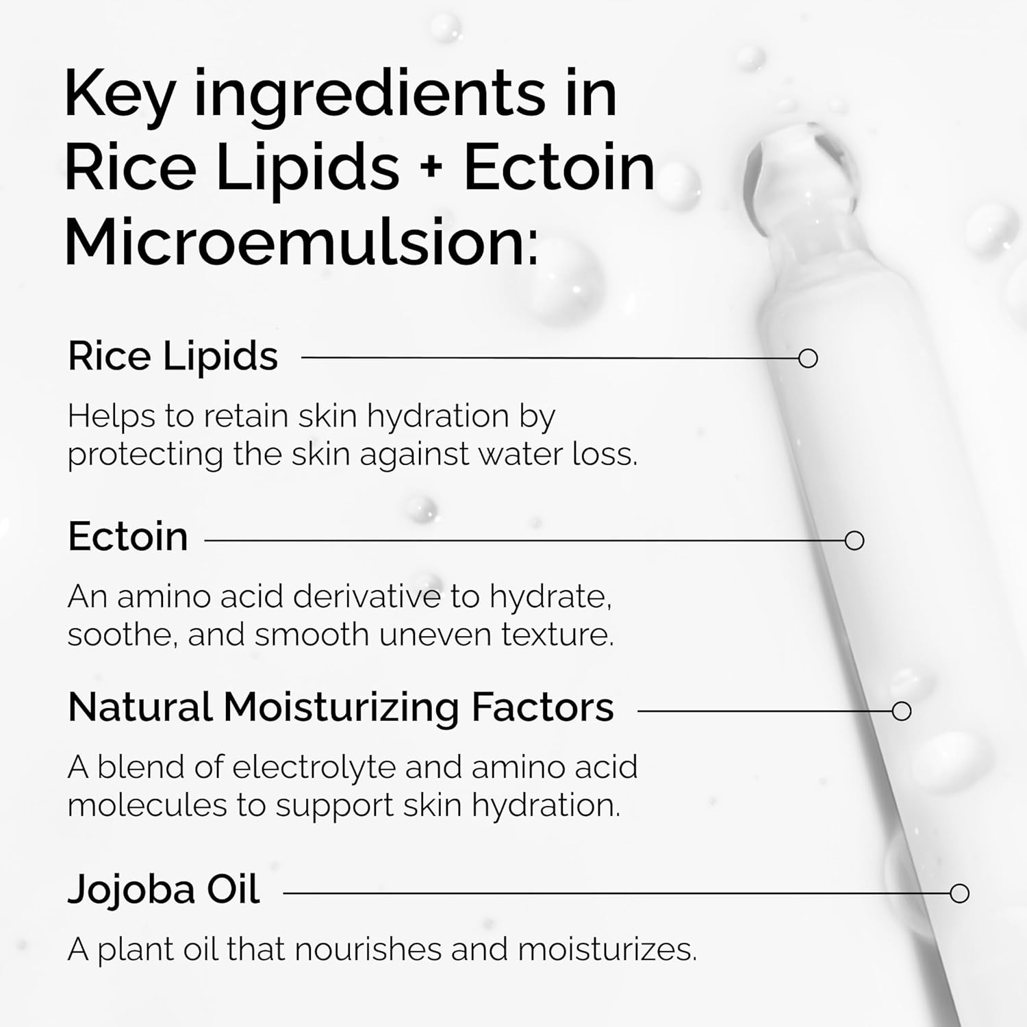 imageThe Ordinary Rice Lipids Ectoin Microemulsion Moisturizer for Dry Skin Soothing Hydration Barrier Repair Reduced Redness4 Fl Oz Pack of 1